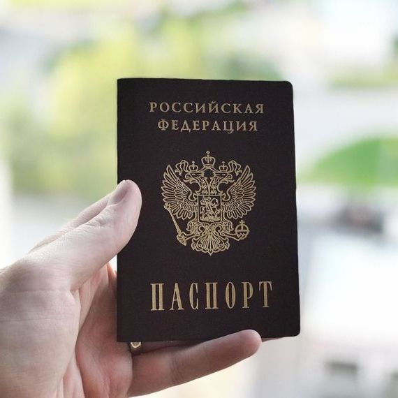 прописка в Кувшиново